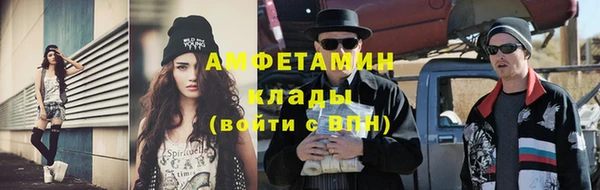 шишки Абаза