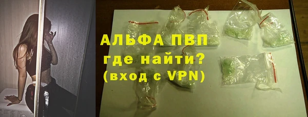 шишки Абаза