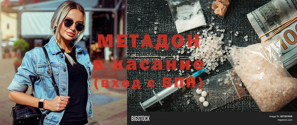 шишки Абаза