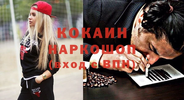 шишки Абаза