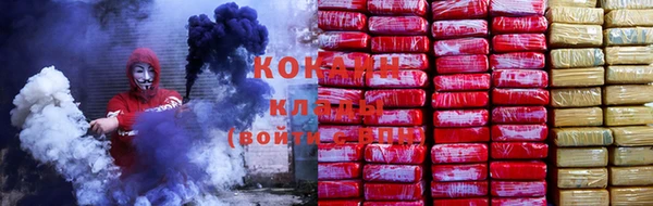 шишки Пролетарск