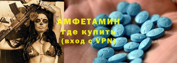 шишки Абаза