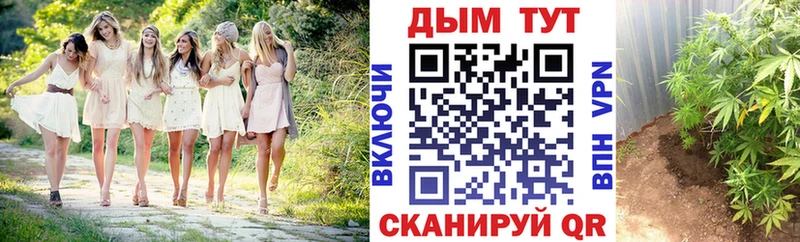 Бошки Шишки план  купить наркотик  Вышний Волочёк 